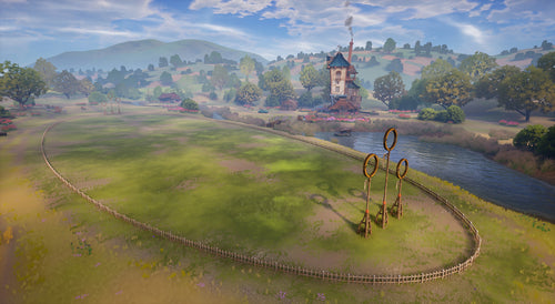 Harry Potter: Quidditch Champions (Deluxe Edition)