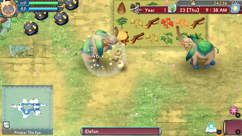 Rune Factory 3 Special Nintendo Switch – Gameplay, spilscene 4