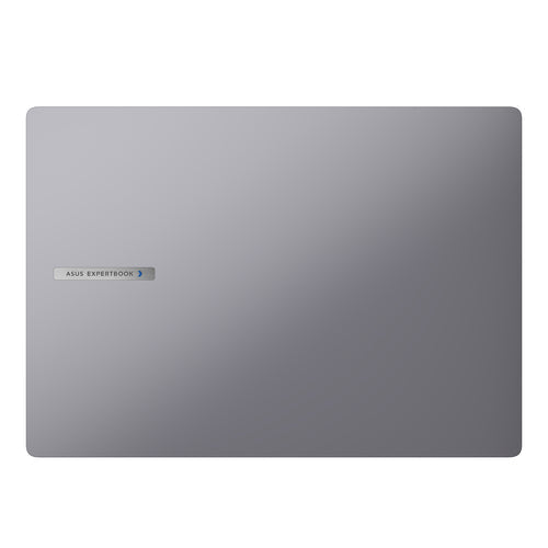 Asus ExpertBook PM3 PM3606CKA-MB0194X – bærbar med tysk DE-layout