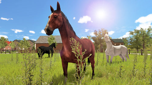 My Little Riding Champion (FR/NL/Multi in Game)