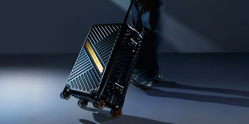 Asus ROG SLASH hard case Edition 20 – Sort