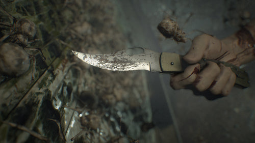Resident Evil VII (7) Playstation Hits
