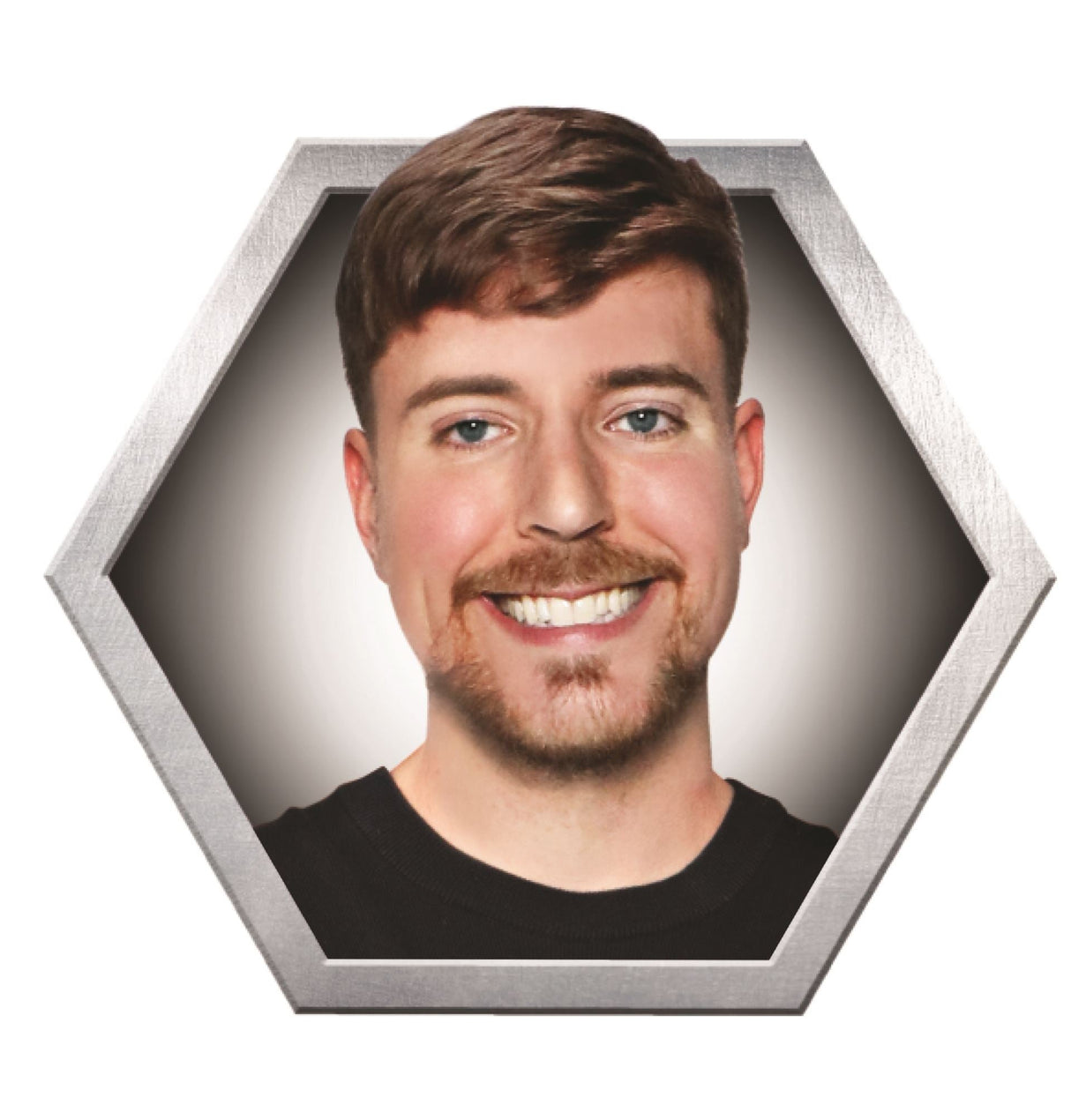 Mr. Beast Lab Swarms figurer 5 stk. Serie 2 MR. BEAST LAB