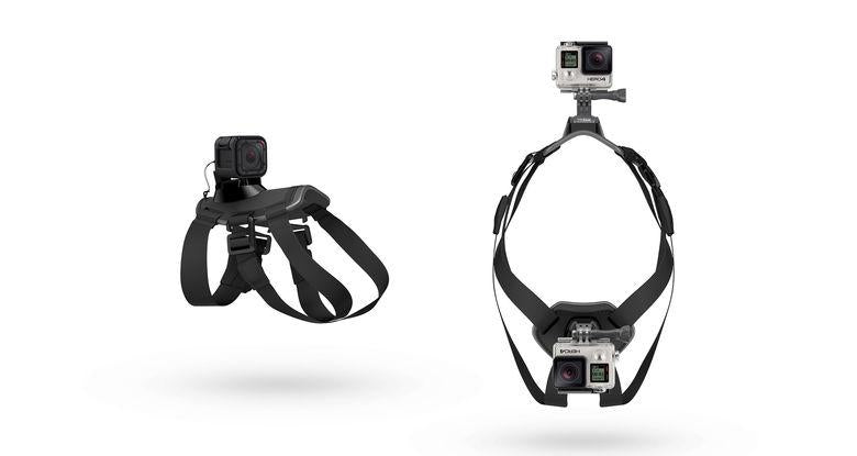 GoPro - Fetch GoPro