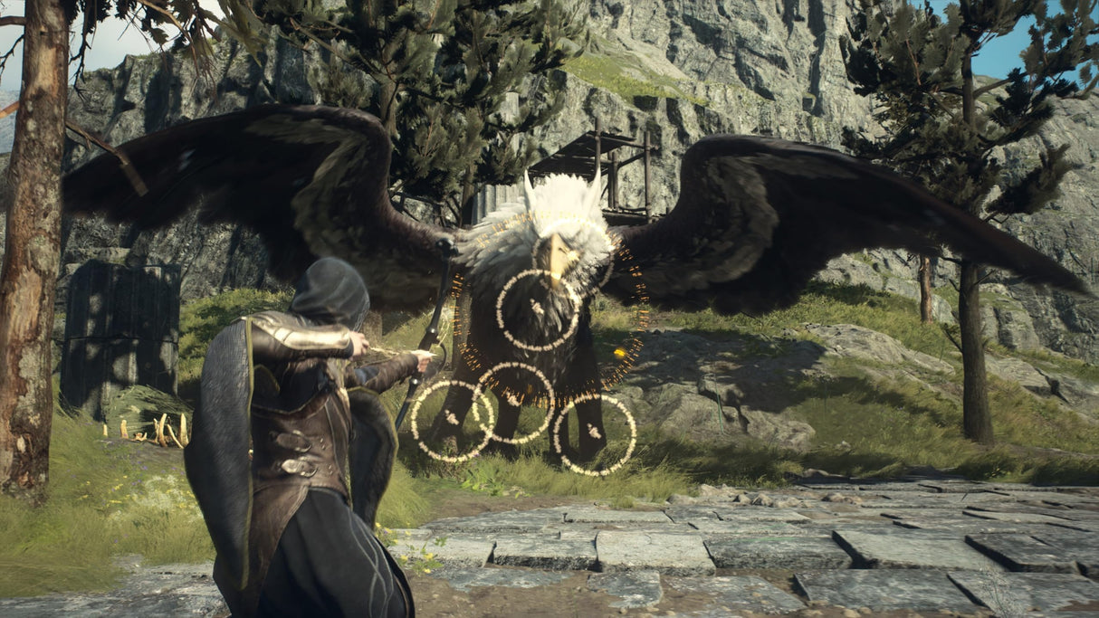 Dragon's Dogma 2 – PlayStation 5