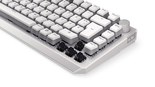ENDORFY Thock 75% Wireless Onyx White (wei. DE-Layout. Kailh Box Black)