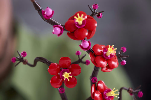 LEGO Botanicals 10369 – Japansk abrikostræ – nærbillede af røde og magenta blomster på grenene