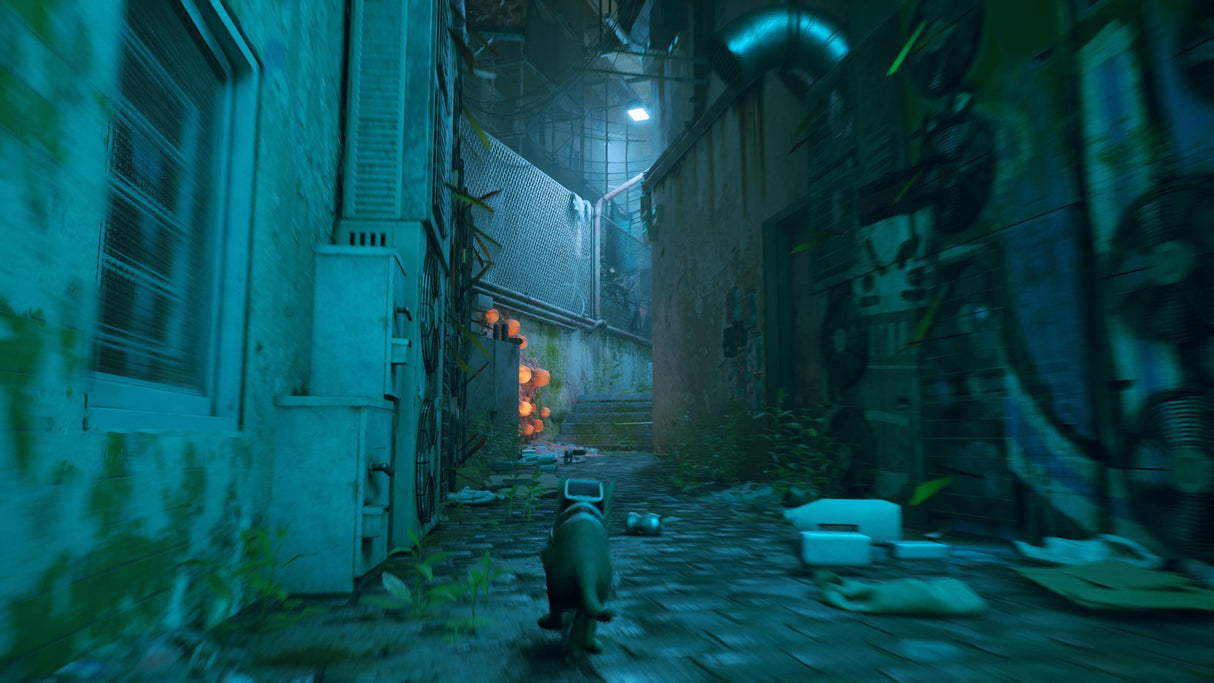 Stray Annapurna Interactive