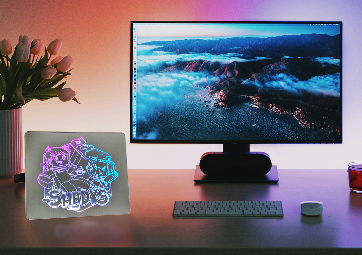 Mecharite x Shadys Koala Mirror Lampe