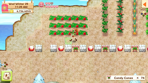 Harvest Moon: Light of Hope SE Complete (Import) – PlayStation 4 – skærmbillede fra spillet