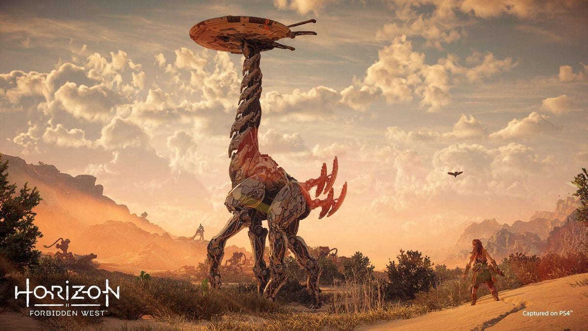 Horizon Forbidden West (UK/AR) Sony