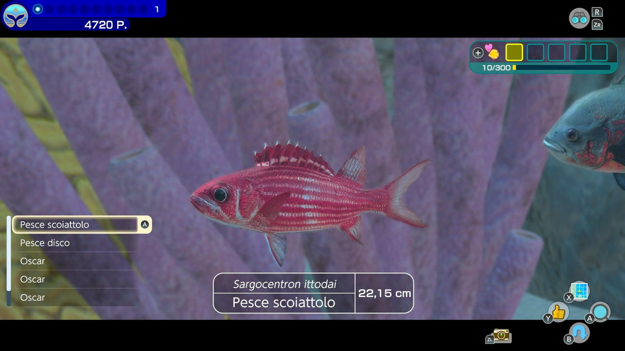 Endless Ocean Luminous (UKV) Nintendo Switch