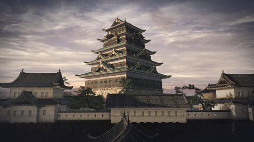 Rise of the Ronin