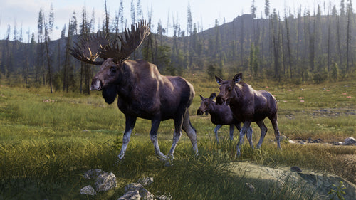 Way of the Hunter 2 (Deluxe Edition)