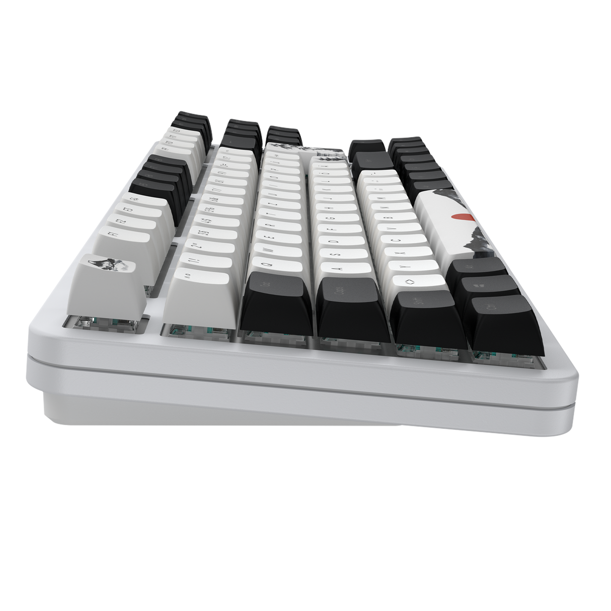 Dark Project  - Fuji V2 - RGB - Metal base Dark Project