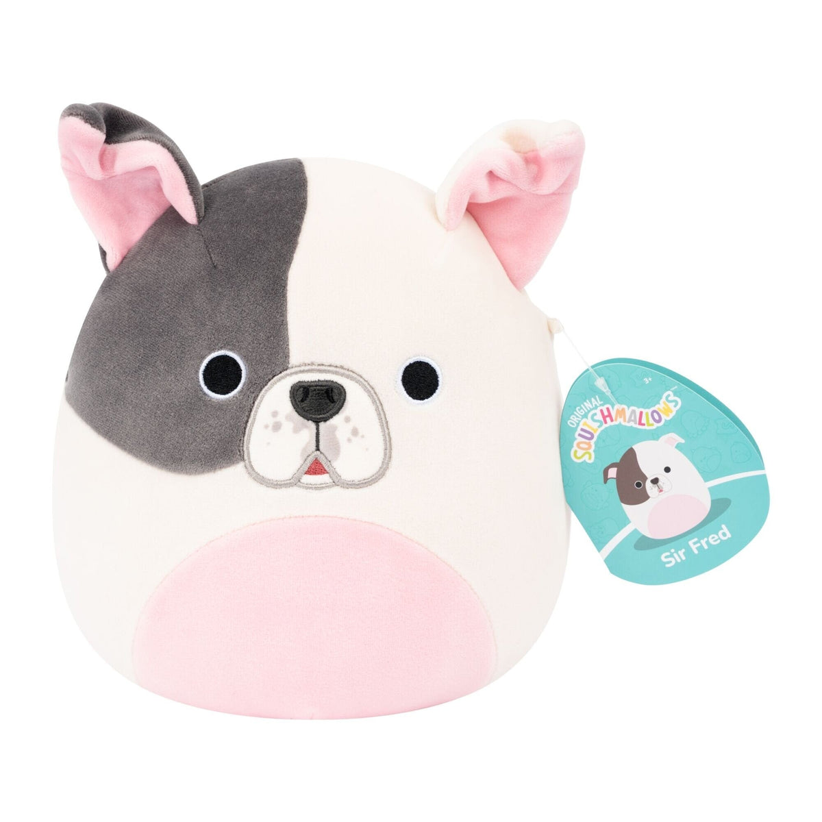 Squishmallows 19 cm P27 - Sir Fred Pitbull Squishmallows