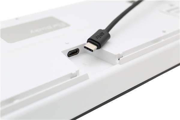 Ducky One 2 Backlit, Cherry MX Blue /w White LED, Nordic layout /w USB-C connection /PBT keycaps Ducky