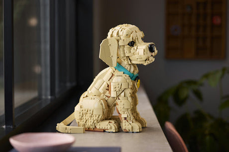 LEGO 11384 Icons - Szczeniak golden retriever Lego