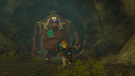 The Legend of Zelda: Tears of the Kingdom (Collector's Edition) – Nintendo Switch – skærmbillede 7