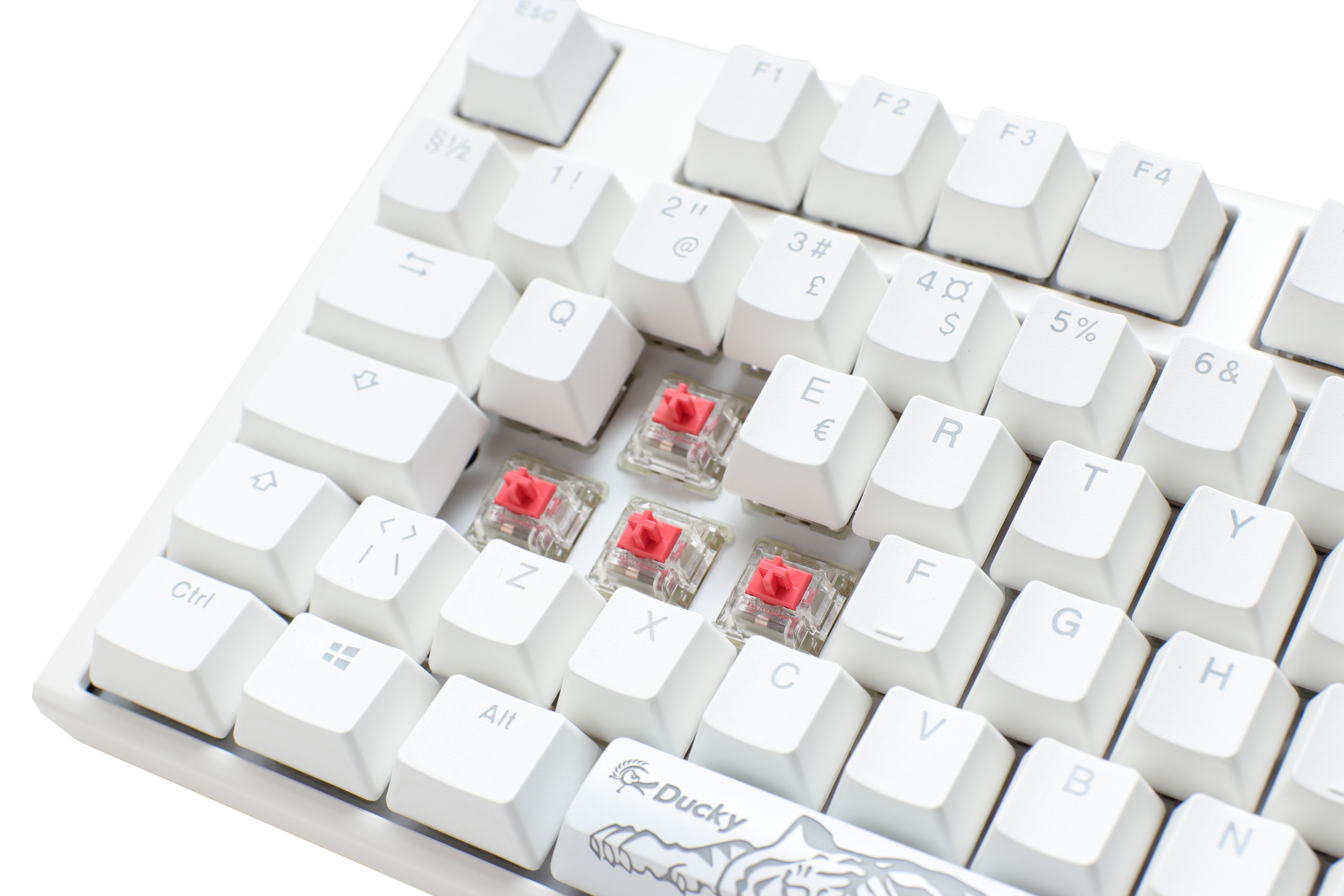 Close-up of a Ducky One 3 - Classic Pure White Nordic full-size mechanical keyboard with white PBT keycaps and visible Cherry Silent Red switches under the 'x,' 'c,' and 'v' keys, set against a light background.