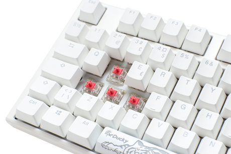 Close-up of a Ducky One 3 - Classic Pure White Nordic full-size mechanical keyboard with white PBT keycaps and visible Cherry Silent Red switches under the 'x,' 'c,' and 'v' keys, set against a light background.