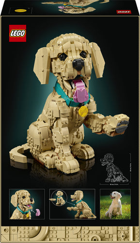 LEGO 11384 Icons - Szczeniak golden retriever Lego