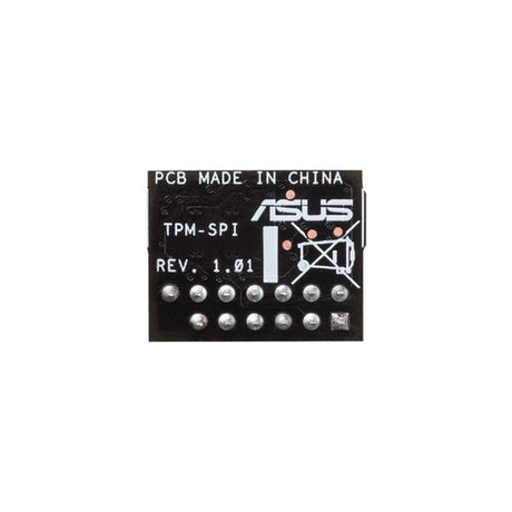 ASUS TPM-SPI ASUSTeK COMPUTER