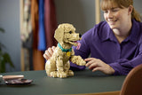 LEGO 11384 Icons - Szczeniak golden retriever Lego