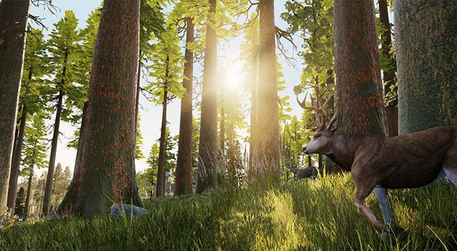 Hunting Simulator (Import) Nacon