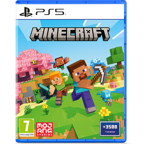 PS5 Minecraft U&I