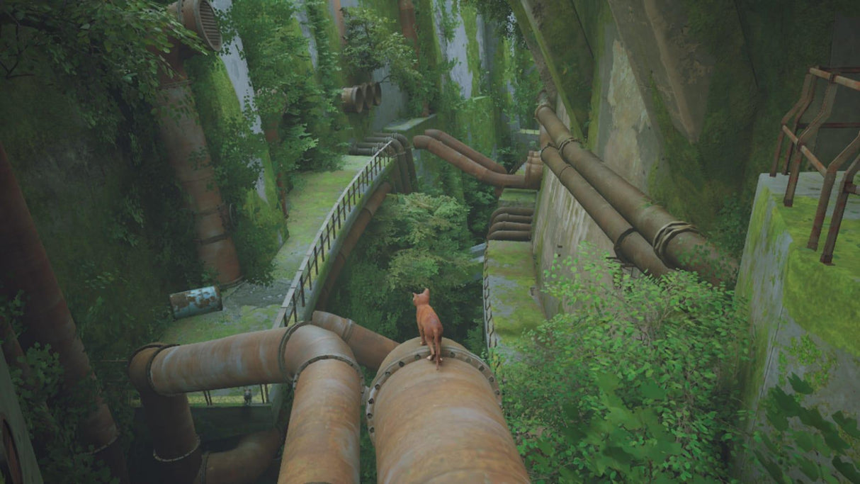 Stray Annapurna Interactive