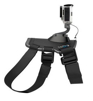 GoPro - Fetch GoPro