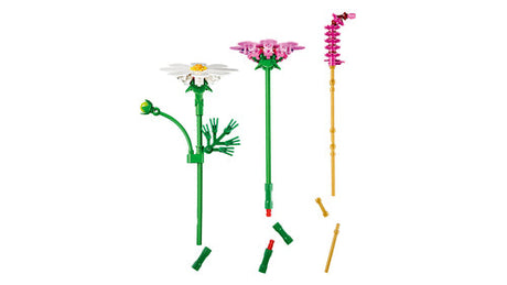 LEGO - Botanicals - Cosmos Flowers (11514) Lego