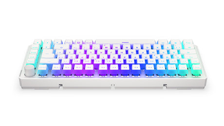 ENDORFY Thock 75% Wireless Onyx White (wei. DE-Layout. Kailh Box Black)