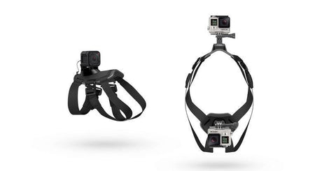 GoPro - Fetch GoPro
