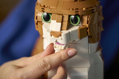 LEGO - LEGO Ideas - Orange Cat (21376.) Lego