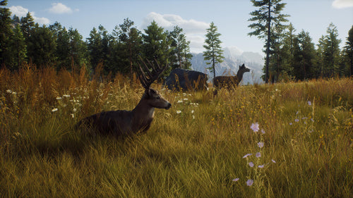 Way of the Hunter – Xbox Series X