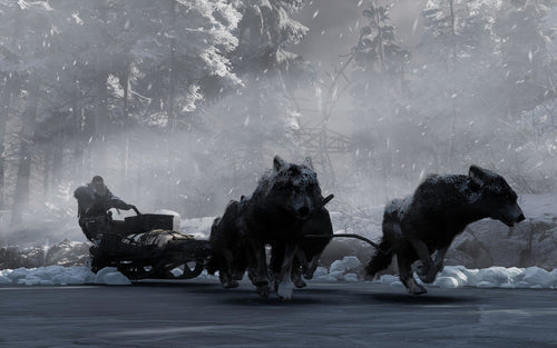 Fade to Silence THQ