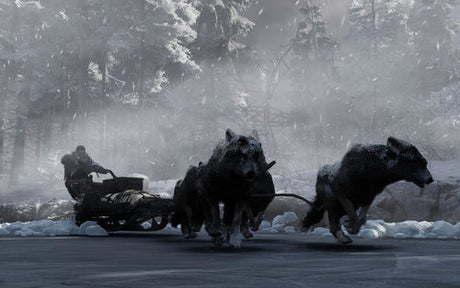 Fade to Silence THQ