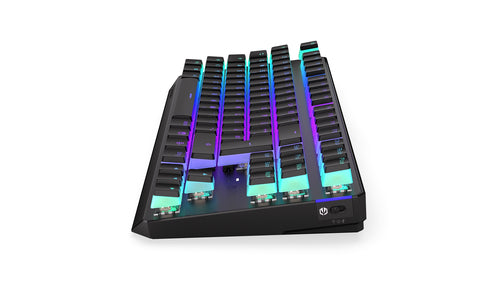 ENDORFY Thock TKL Wireless Pudding (schwarz. DE-Layout. Kailh Box Brown)