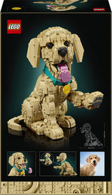 LEGO 11384 Icons - Szczeniak golden retriever Lego
