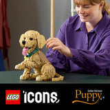 LEGO 11384 Icons - Szczeniak golden retriever Lego