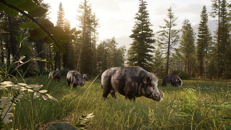 Way of the Hunter 2 (Deluxe Edition)