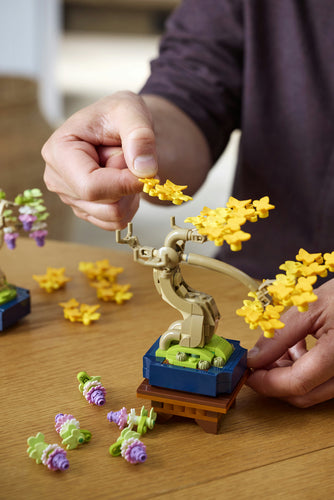 LEGO 10373 Botanical Collection - Małe drzewka Bonsai