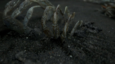 Death Stranding (Nordic) – PS4 – produktdetalje 9