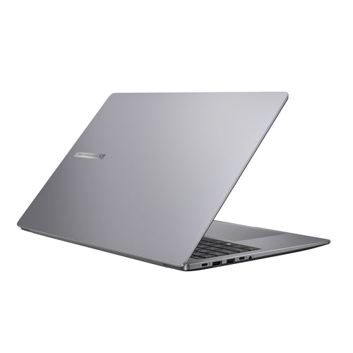 Asus ExpertBook PM3 PM3606CKA-MB0194X – bærbar med tysk DE-layout