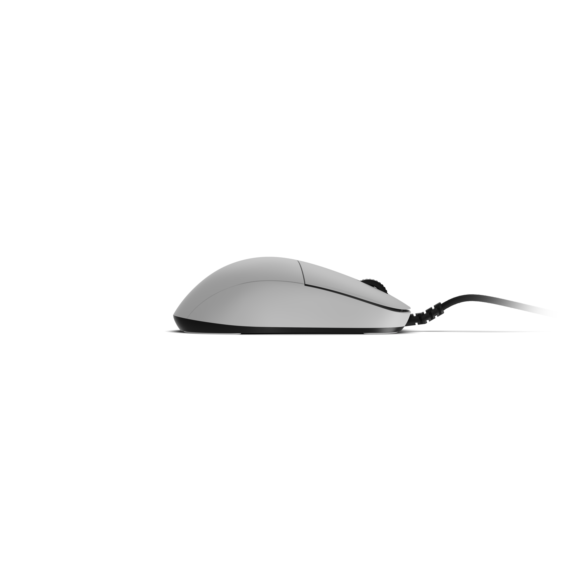 Endgame Gear XM2 8K V2 – Kablet Gaming Mus (Hvid)