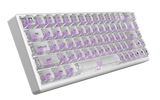 Arbiter - Polar 65 HE - Phantom Clear - SF 65% - Fuji Dual-Rail Magnetic Switches [36g] Linear - ISO Nordic layout