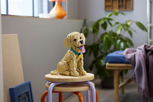 LEGO 11384 Icons - Szczeniak golden retriever Lego