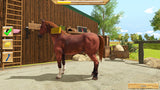 My Little Riding Champion (FR/NL/Multi in Game)